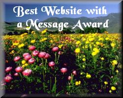 Best Website with a Message Award