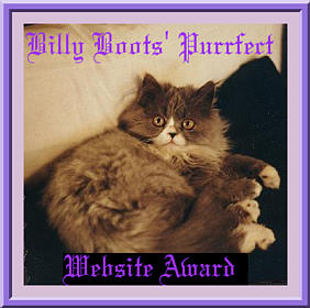 Billy Boots' Purrfect Website Award